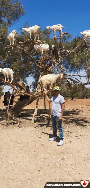 abdelmajid - date a Canadian, 100% free abdelmajid