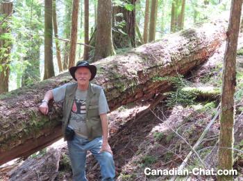 tvcam - date a Canadian, 100% free tvcam