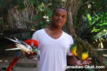 marcwillin - date a Canadian, 100% free marcwillin