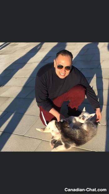 wayil - date a Canadian, 100% free wayil