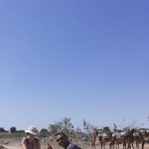 momo101 - date a Canadian, 100% free momo101