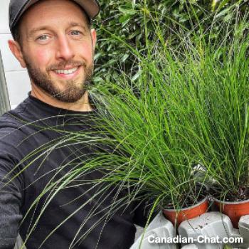 victorp - date a Canadian, 100% free victorp