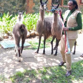 mavismavis - date a Canadian, 100% free mavismavis