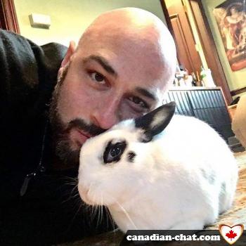 follow - date a Canadian, 100% free follow