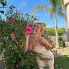 Auvergne-Rhône-Alpes chat