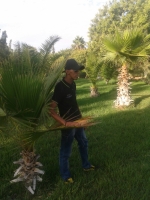 Guelmim-Oued Noun chat