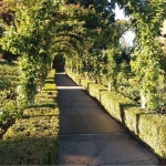 St. James Parish chat